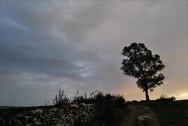 Penedos, Sunset