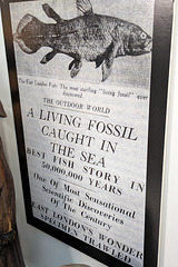 PXL 20250810 165005814-001-Living Fossil