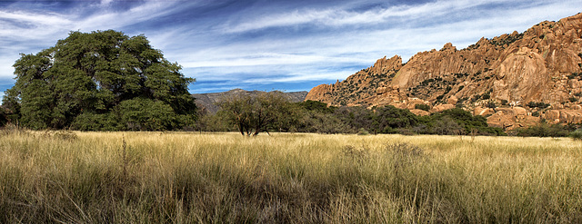 The Dragoon Mountains