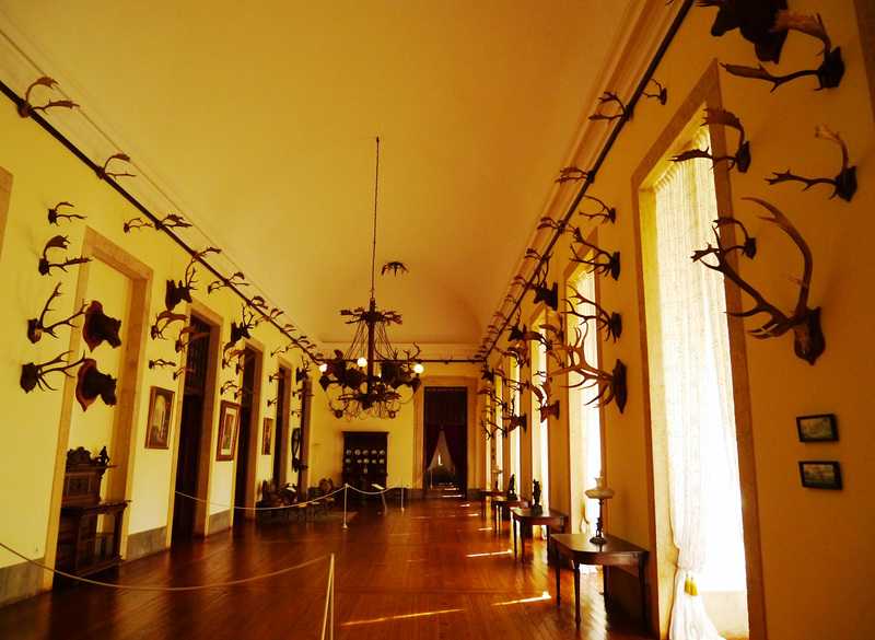 Diana's Room