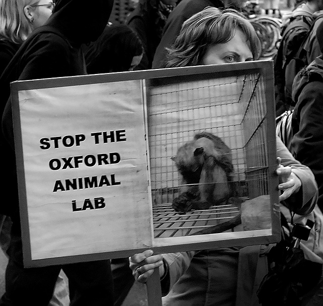 SPEAK Protest: Oxford March