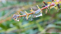 S'hydrater un peu... S'hydrater un peu...