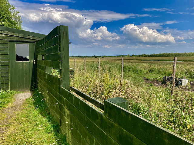 Campfield Marsh bird hide