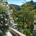 Granada Sacromonte