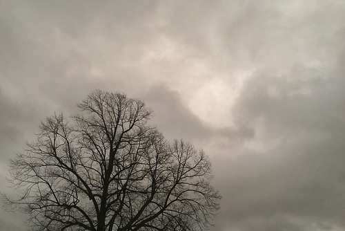 01.02.2016