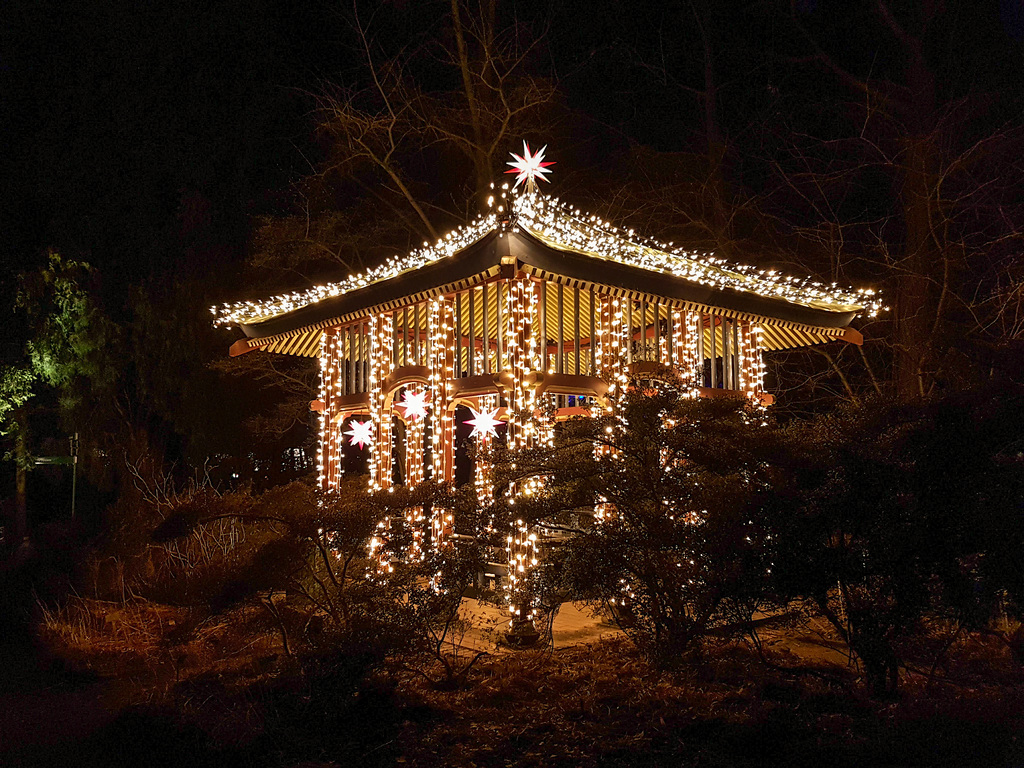 Botanischer Garten Berlin - Christmas Garden
