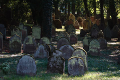 Impression vom großen jüdischen Friedhof