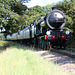 LNER class B12 4-6-0 8572 (B.R.number 61572) between Weybourne and Holt with 1M34 15:37 Sheringham - Holt North Norfolk Railway 2nd September 2017.