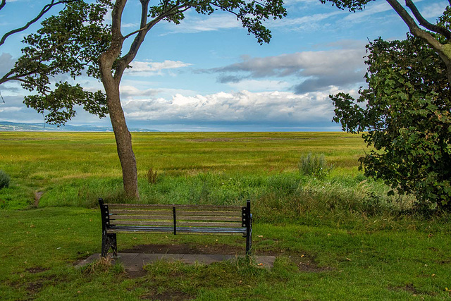 A bench with a view across the Dee marshes