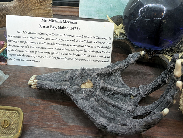 PXL 20250810 165912830-001-Mr Mittin's Merman