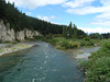 Turangi - beginning of Tongariro River Loop Track