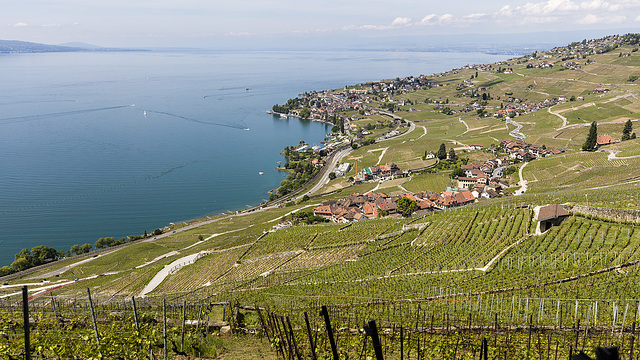 170521 Lavaux Cully 0