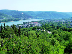 DE - Rhens - View of the Rhine valley