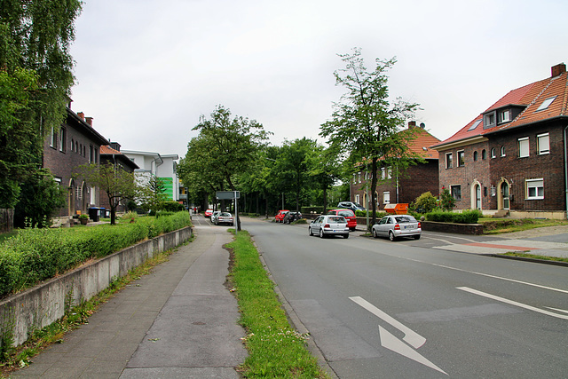 Johannesstraße (Bottrop-Welheim) / 9.06.2019