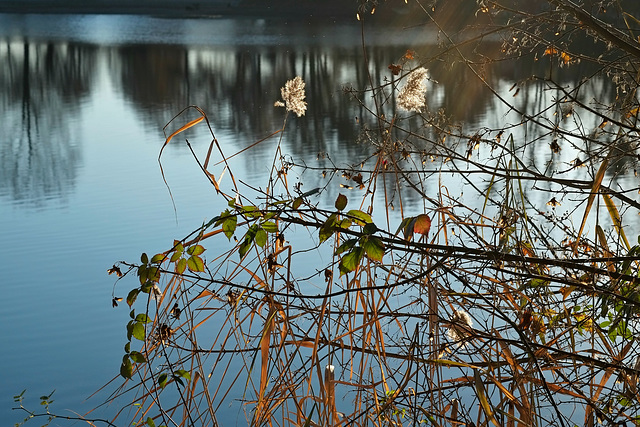 Friedlicher Ort