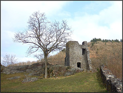 Burg Manderscheid, Manderscheid 027