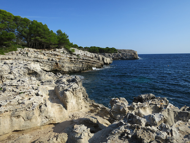 Cala en turqueta