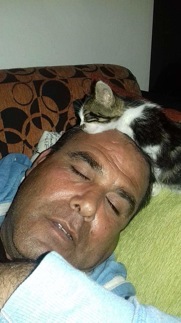 Doğan asleep, Whiskey asleep on his head!