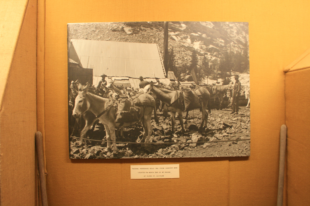 IMG 4776