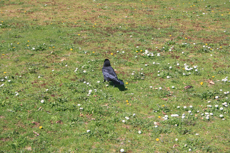 IMG 4089