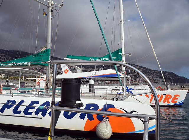 Katamarane im Hafen von Funchal