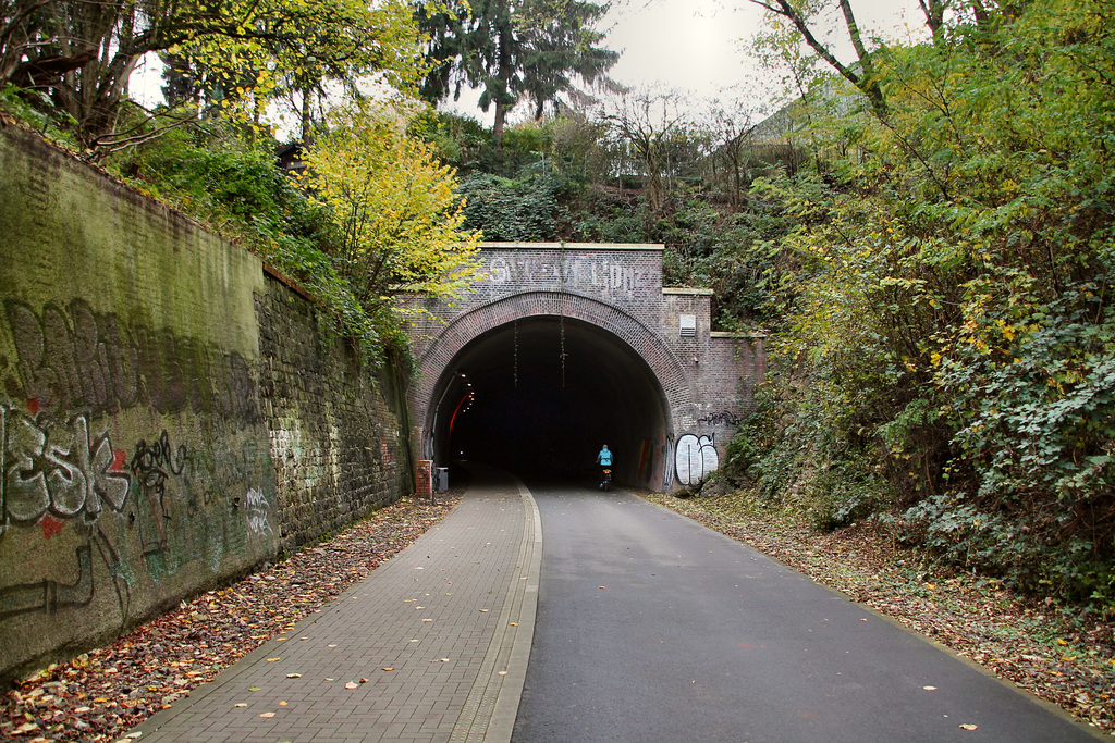 Ostportal des Dorrenberg-Tunnels der ehem. Rheinischen Bahnstrecke (Wuppertal-Elberfeld) / 8.11.2017