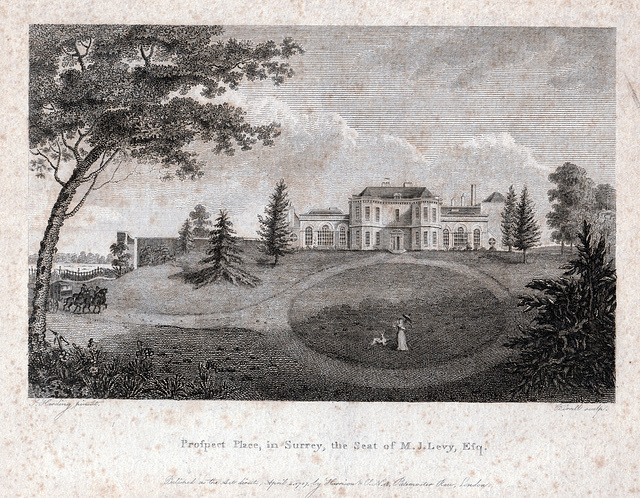 Prospect Place, Copse Hill, Wimbledon, Merton, Greater London (Demolished c1863)