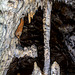 Uvac Nationalpark - Ledena Pecina - Eishöhle