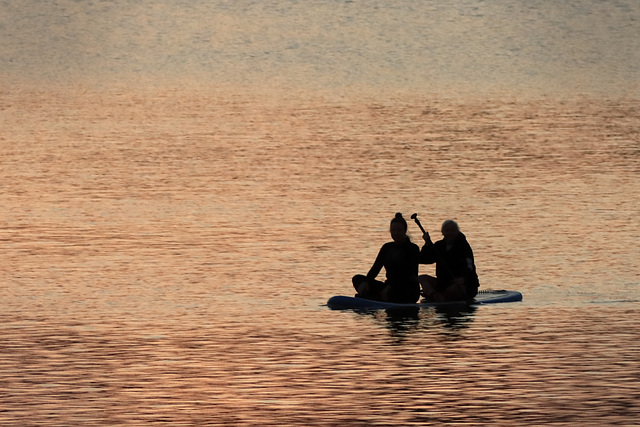 paddleboarding-at-dawn 50783185247 o