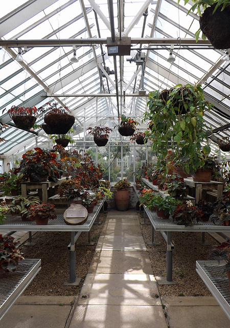 Interior of one of the Greenhouses at Planting Fields, May 2012