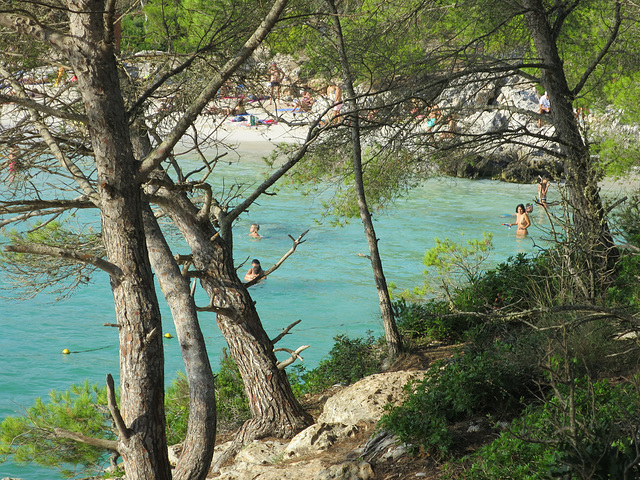 Cala en turqueta