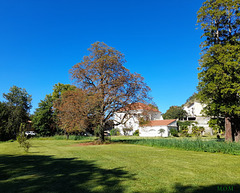 Une vue du parc du Bosquet devant chez moi**************