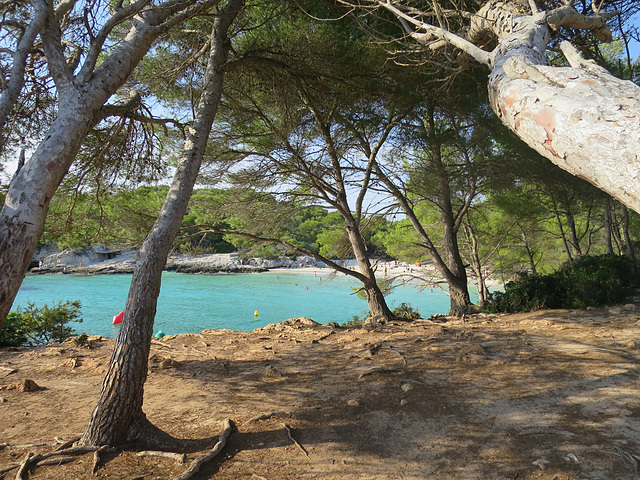 Cala en turqueta