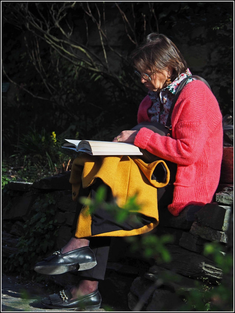 Lecture au jardin