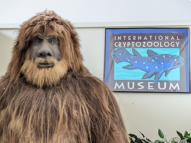 PXL 20250810 171918945-001-Big Foot