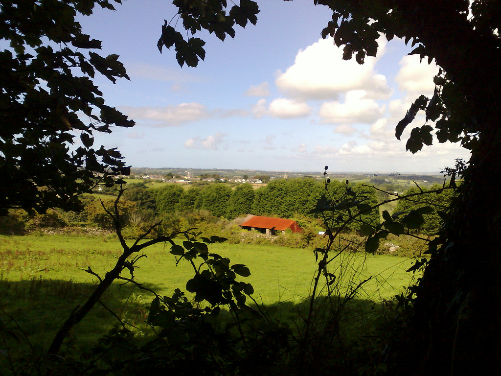 Red roof