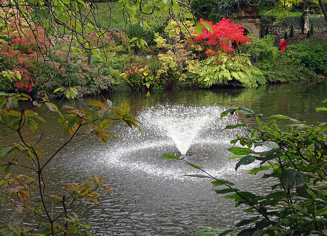 A splash of red