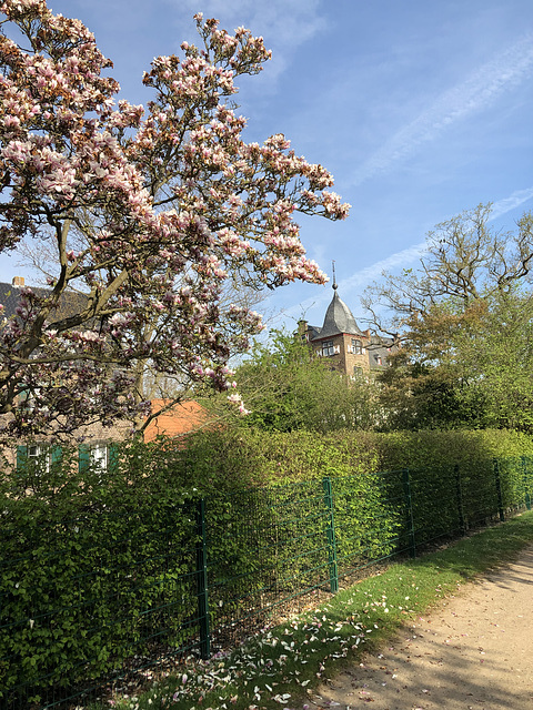 DE - Weilerswist - Frühling bei Burg Kühlseggen