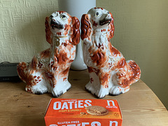 The dogs and biscuits