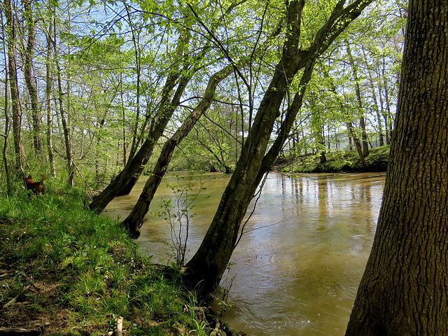 Big Wills Creek