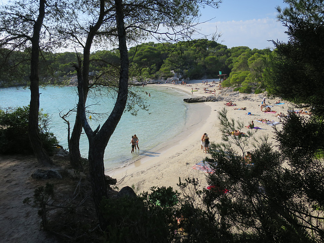 Cala en turqueta