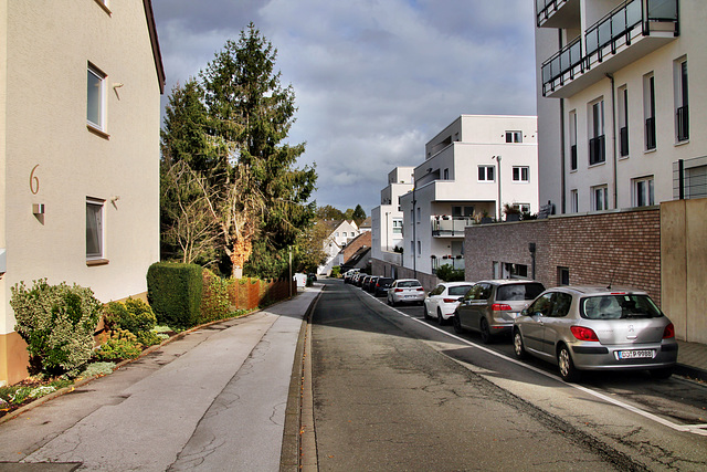 Schürener Straße (Dortmund-Schüren) / 21.10.2023