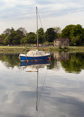 Mast Reflection