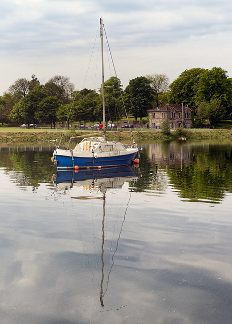 Mast Reflection