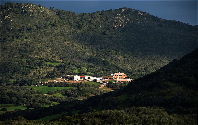 Santa Teresa Sunburned