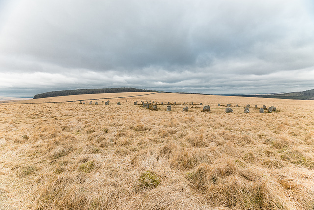 Grey Wethers - 20160319