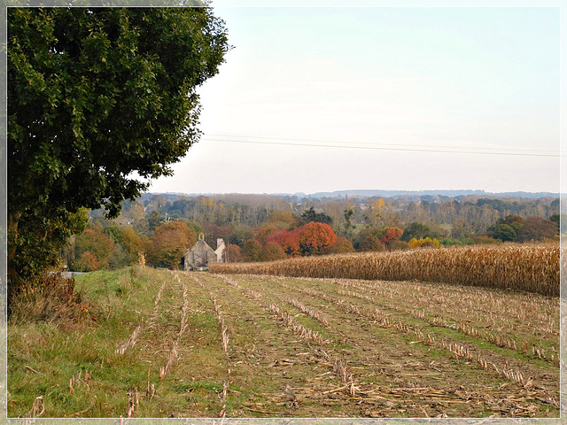 Automne à BAGUER PICAN