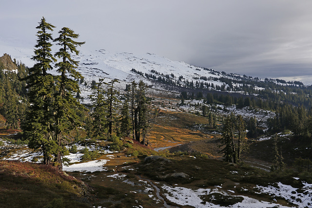 Morovitz Meadows and Easton Glacier