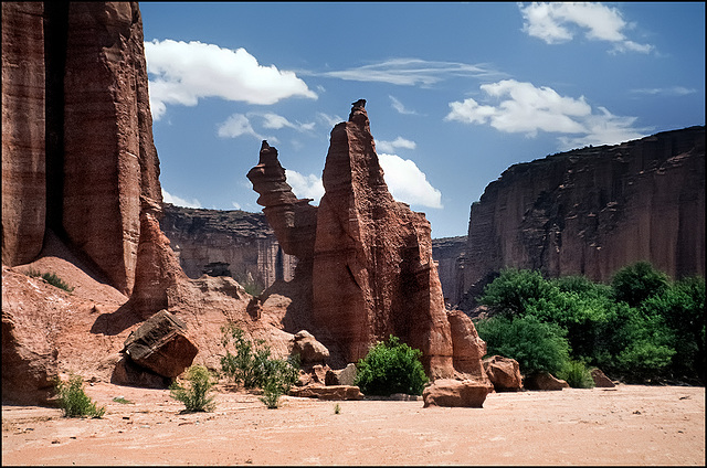 the camel rock