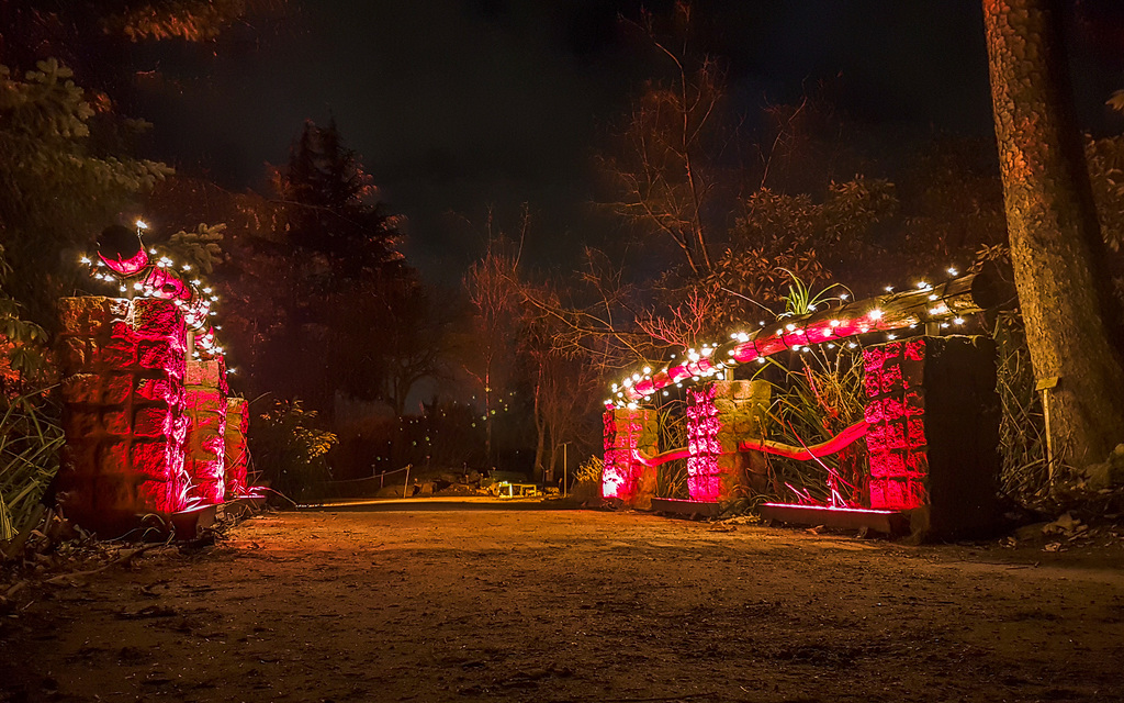 Botanischer Garten Berlin - Christmas Garden